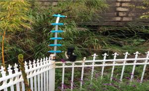 防盜報警系統有哪些種類？